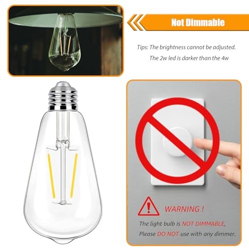 4000K Cool White LED Edison Bulbs 25W 12 Count (Pack of 1) 4000k Cool White