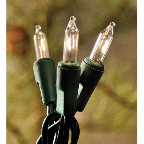 Country  Farmhouse Clear White Strand Lights 10 Count Green Cord Incandescent