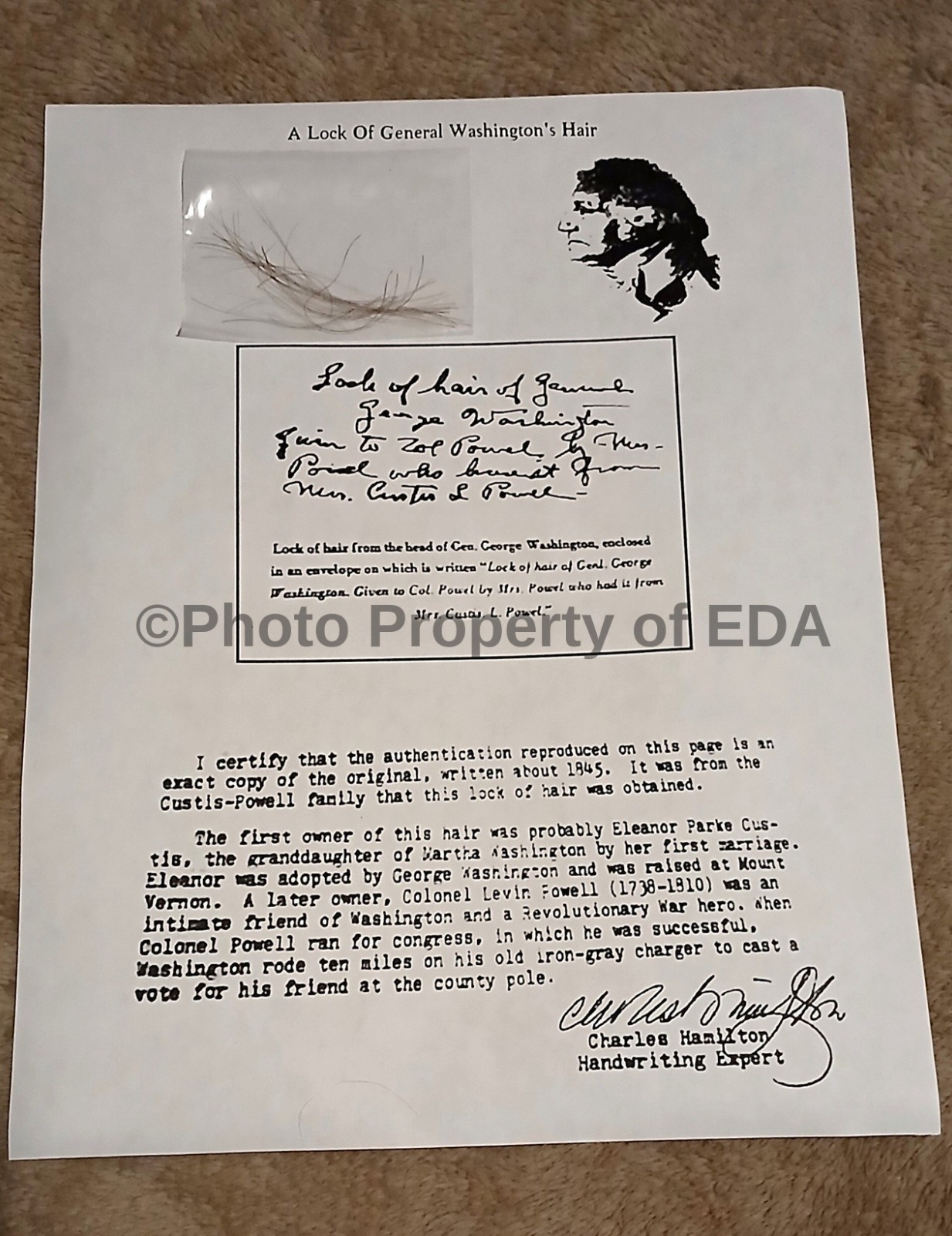 Authentic George Washington Hair Strand Relic Memorabilia Collectible Rare w/COA