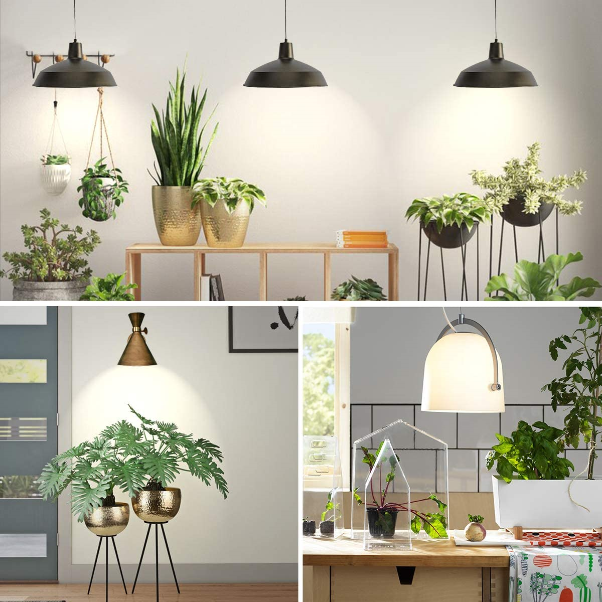 SANSI LED Plant Grow Light Bulb Full Spectrum Indoor Plant Growth Lamp Veg Bloom