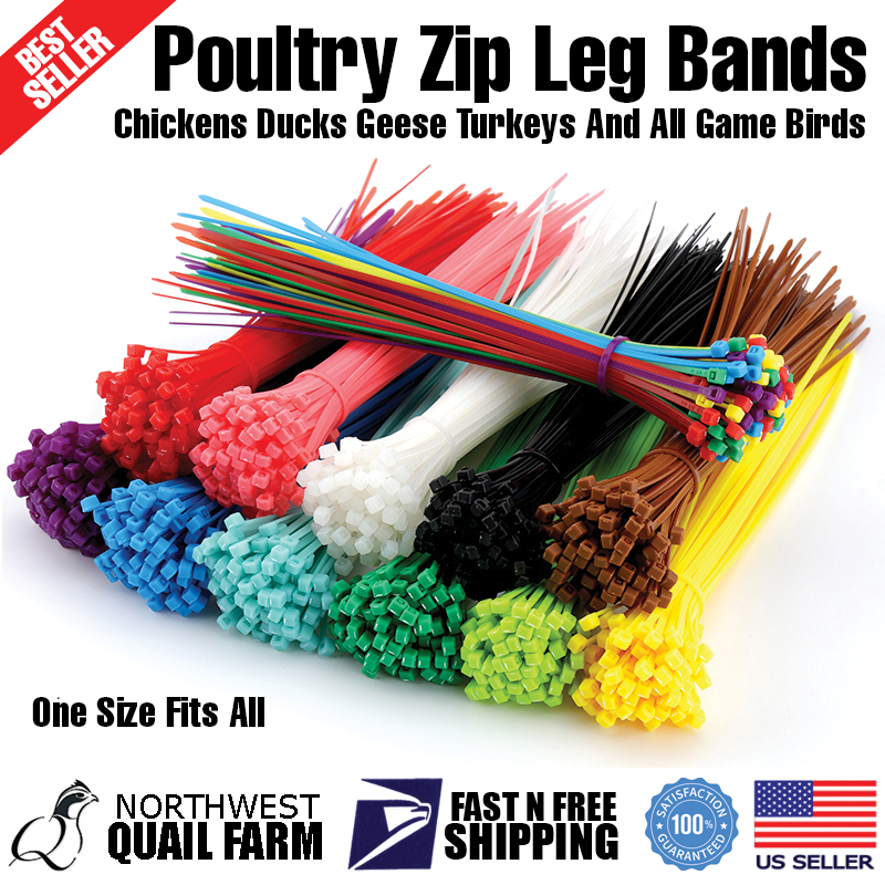 Zip Leg Bands Multi Colors for Poultry Chick Chickens Ducks Geese Turkeys 50pcs