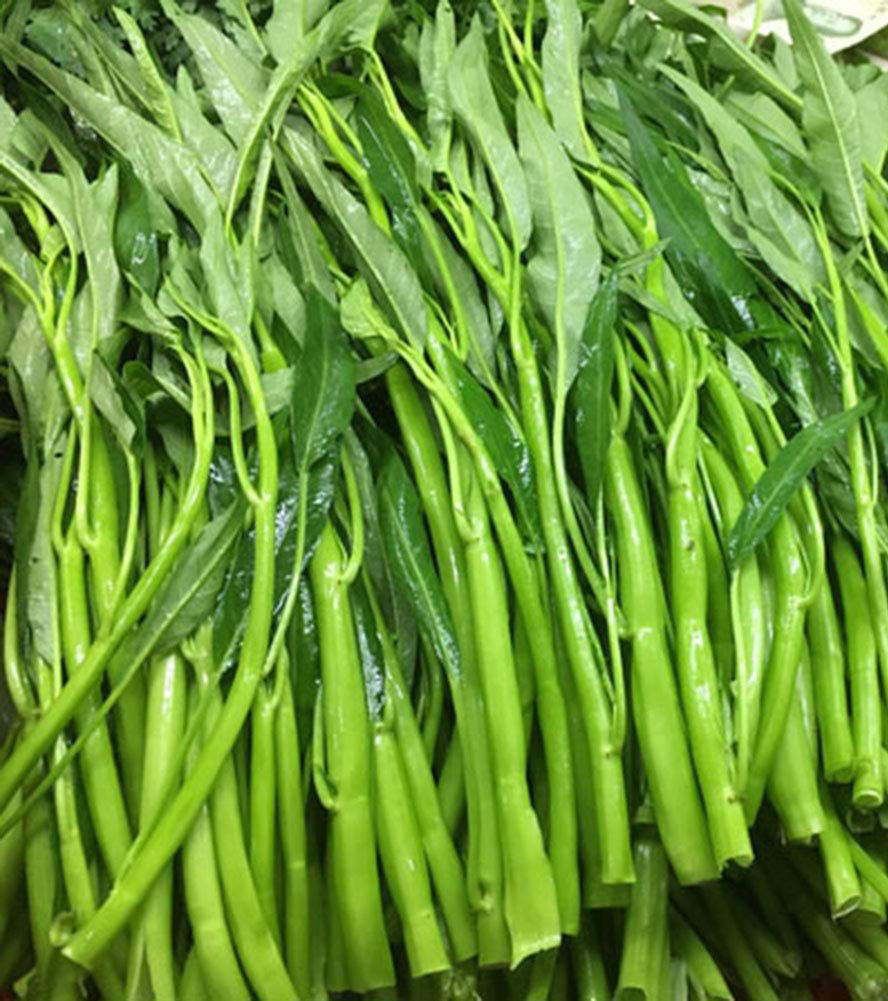 50+ Thai Water Spinach seeds Ong Choy Kangkong Kong Xin Cai Garden Vegetable USA