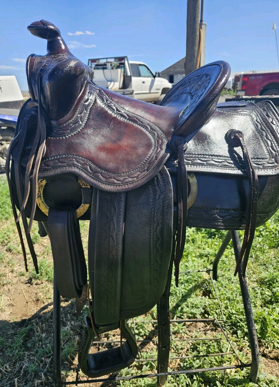 Fred Mueller Saddle
