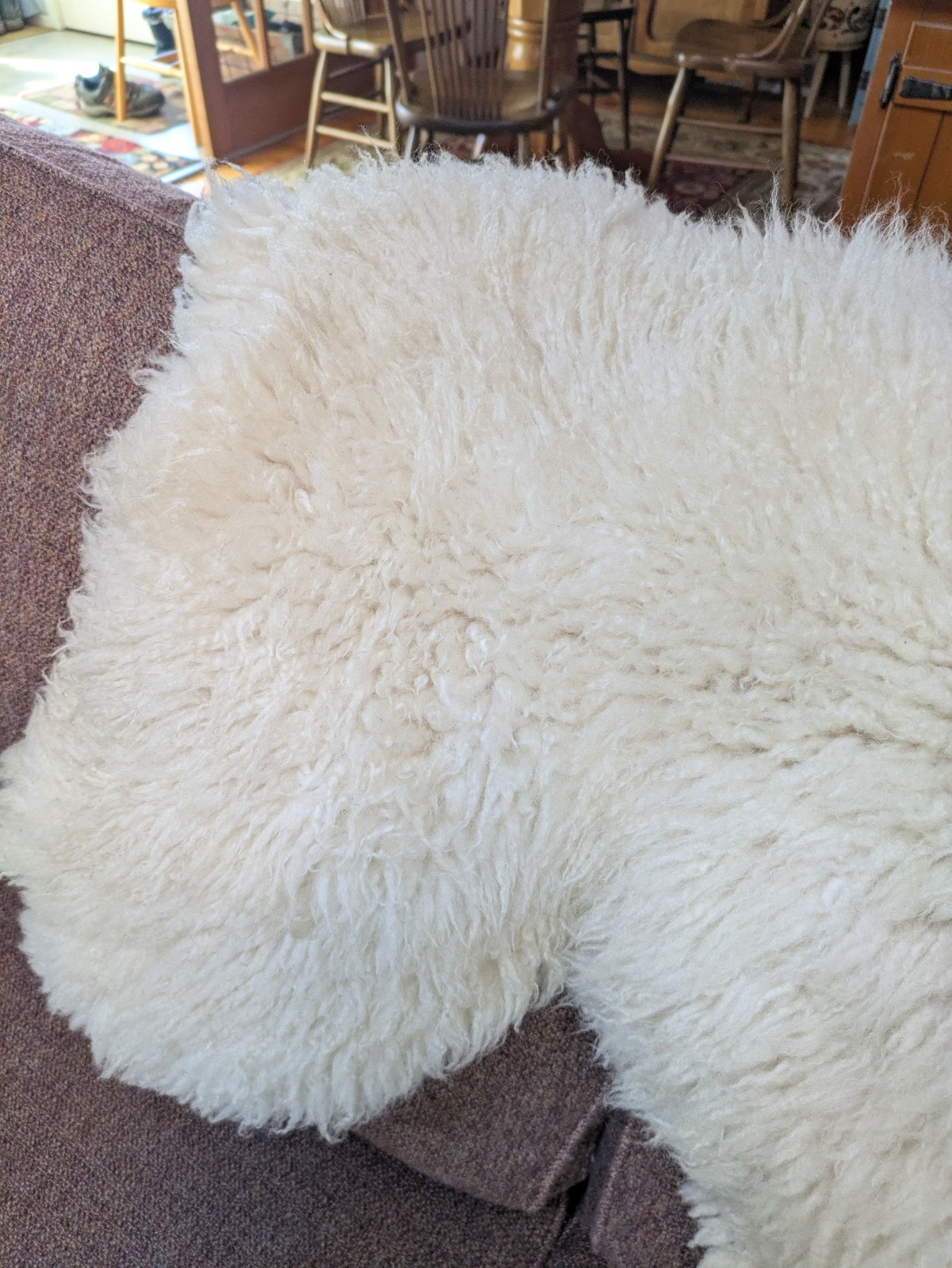 Champagne Color Curly Sheepskin Rug or Throw ,100% Natural Sheepskin