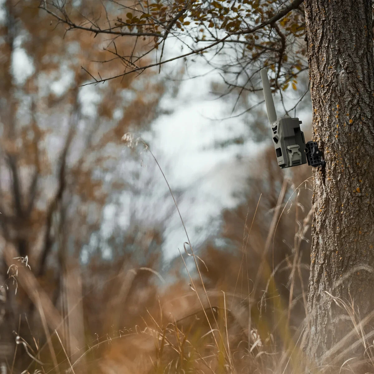 SpyPoint Cellular Camera Flex G-36C Elite Bundle 36 MP 1080P All Carriers No Fee