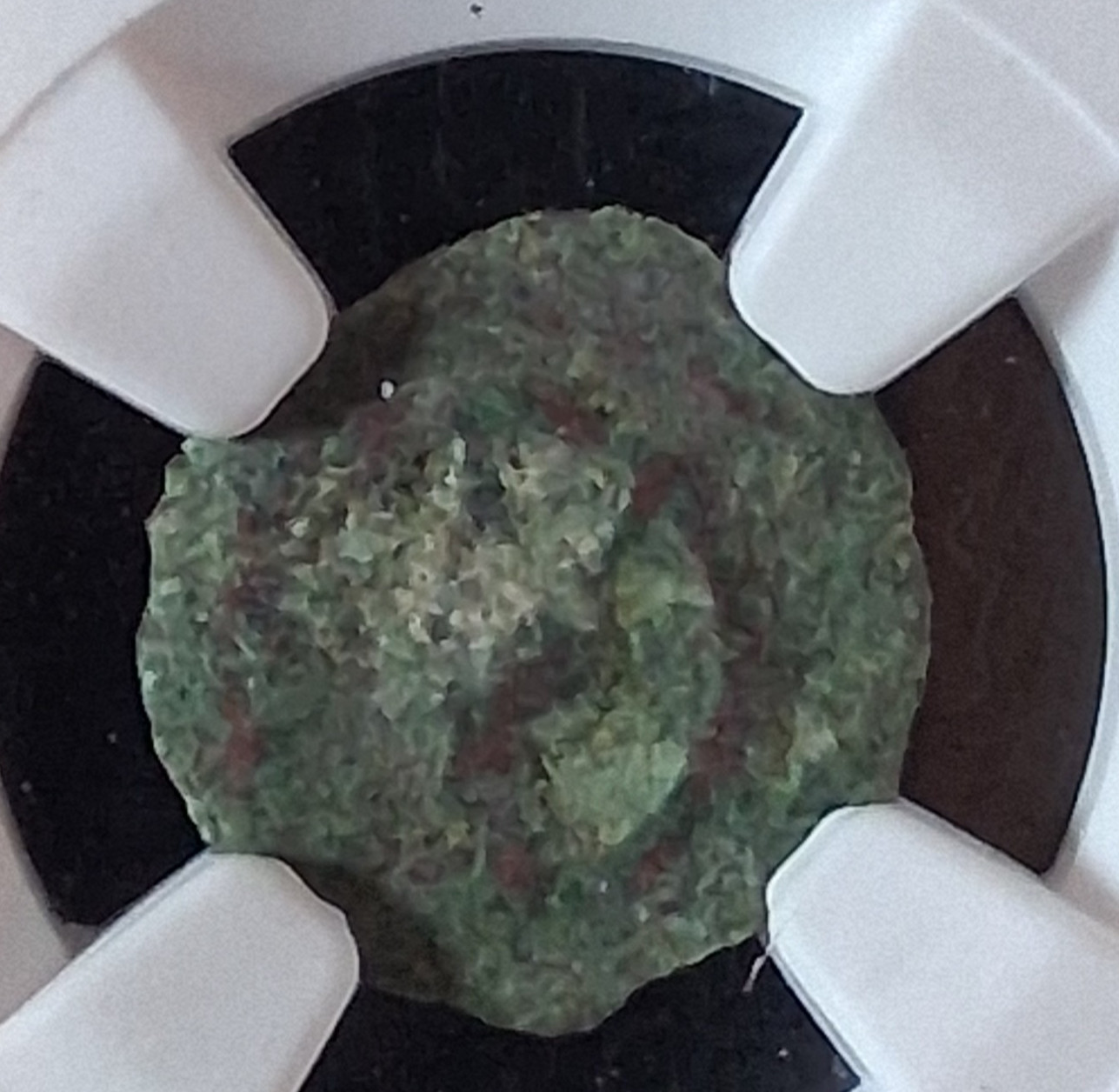 Widows Mite NGC Certified Judean Prutah 103-76 BC Alexander Jannaeus