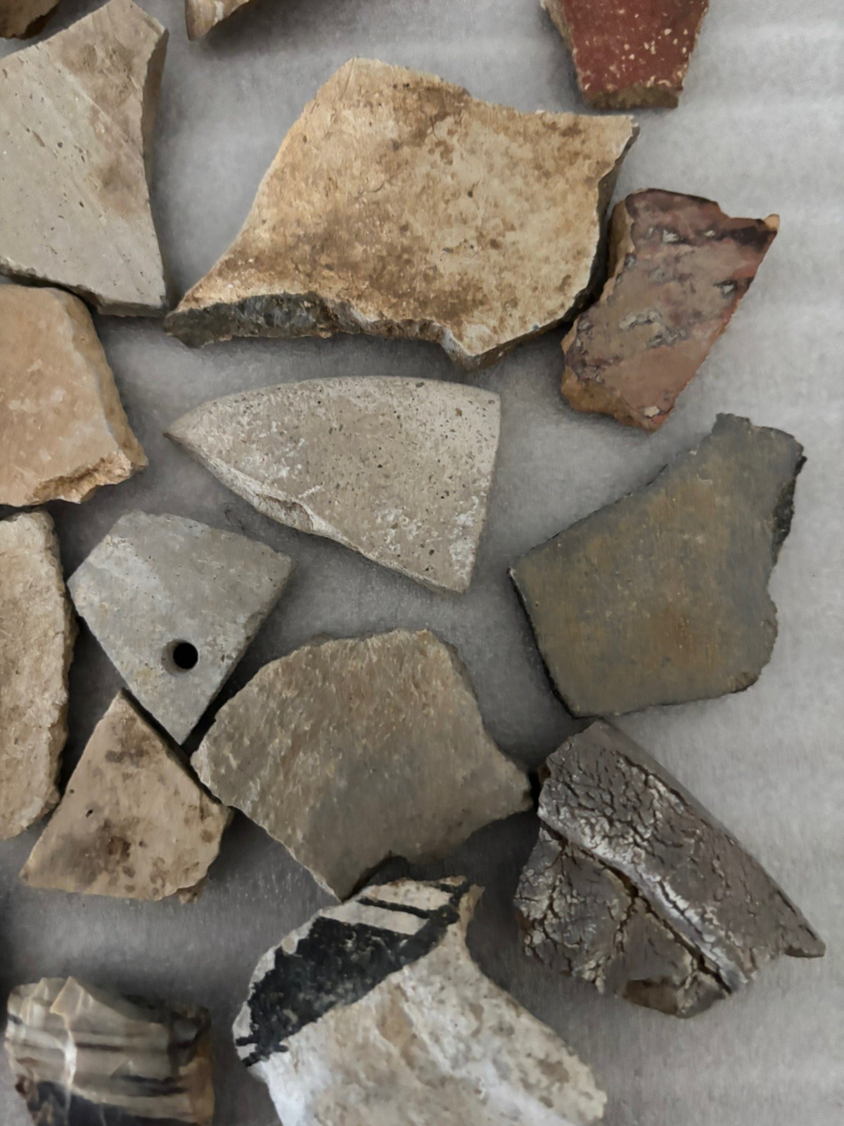 Ancient Anasazi Native American Pottery Shards Arizona L2-E FREE SHIPPING