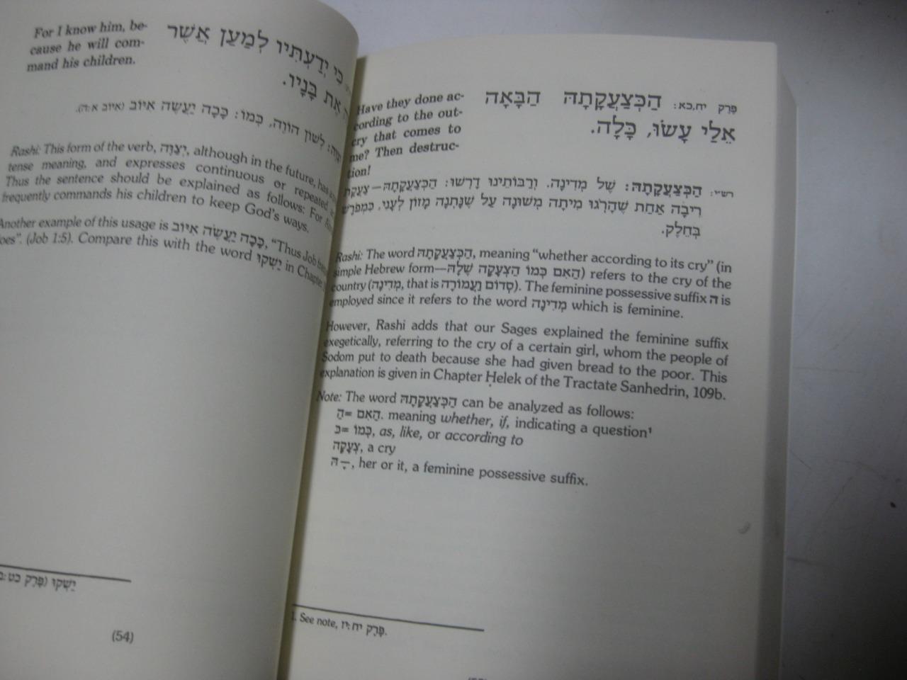 An introduction to Rashi's grammatical explanations in the book COMPLETE SET