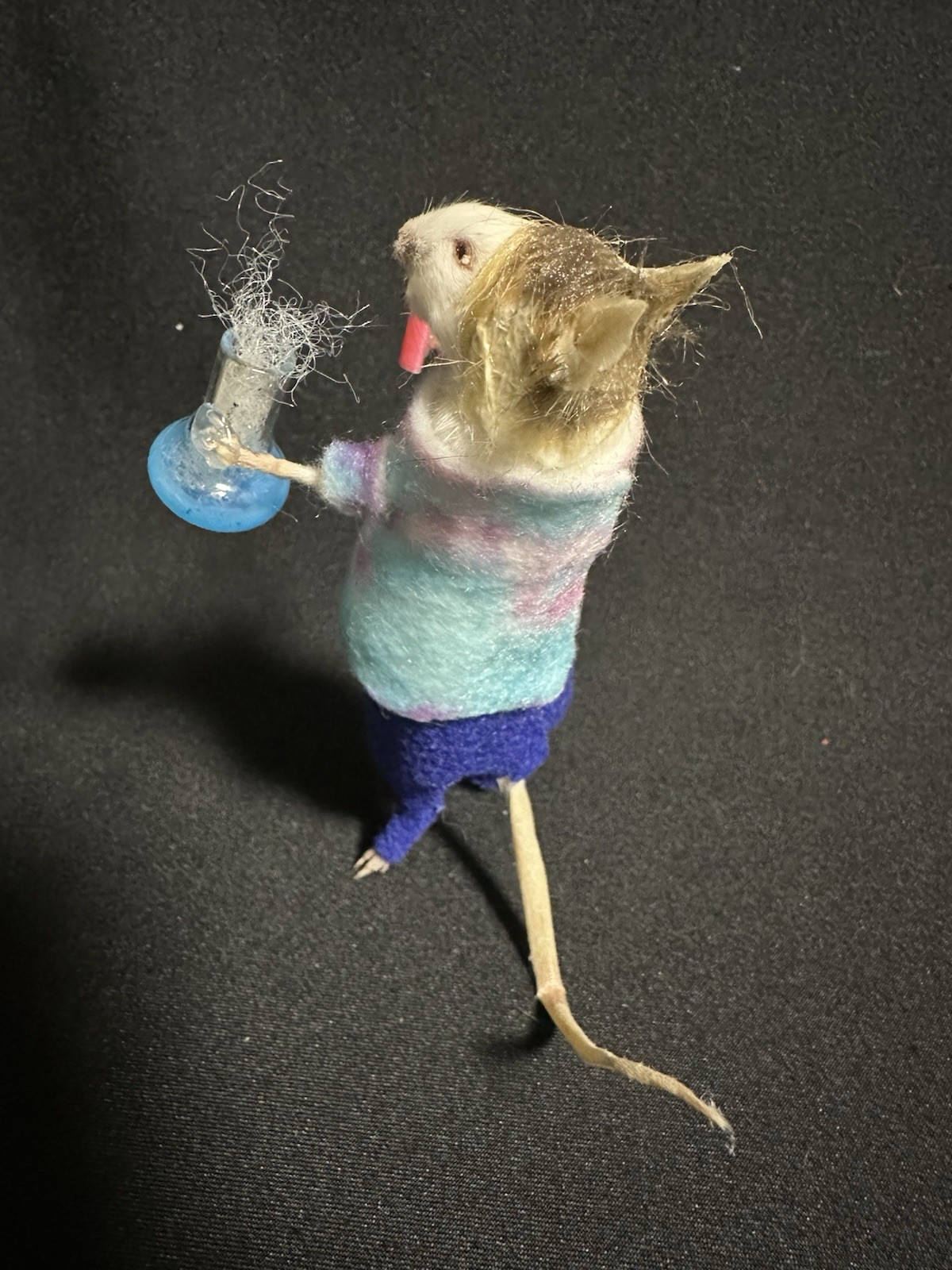 Taxidermy Mouse Stoner Hippie Mouse Oddities Curiosities Taxidermy Art