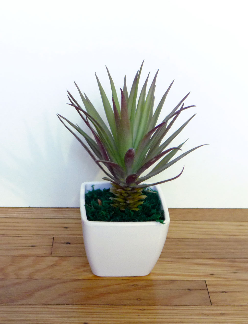 2 Agave Mini Grasses Artificial Desert Succulents Potted Plants With Pot