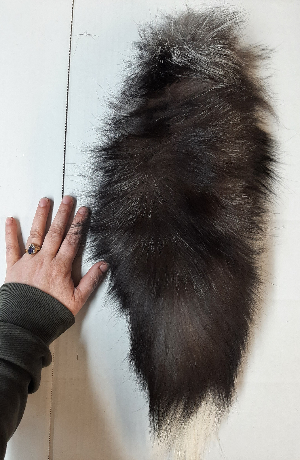 Silver Fox Tail