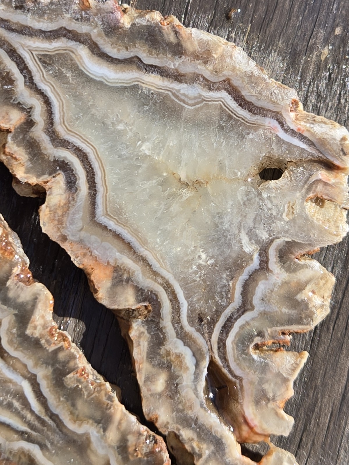 Turkish Agate Slabs Slices From One Stone Matching Lapidary Unique