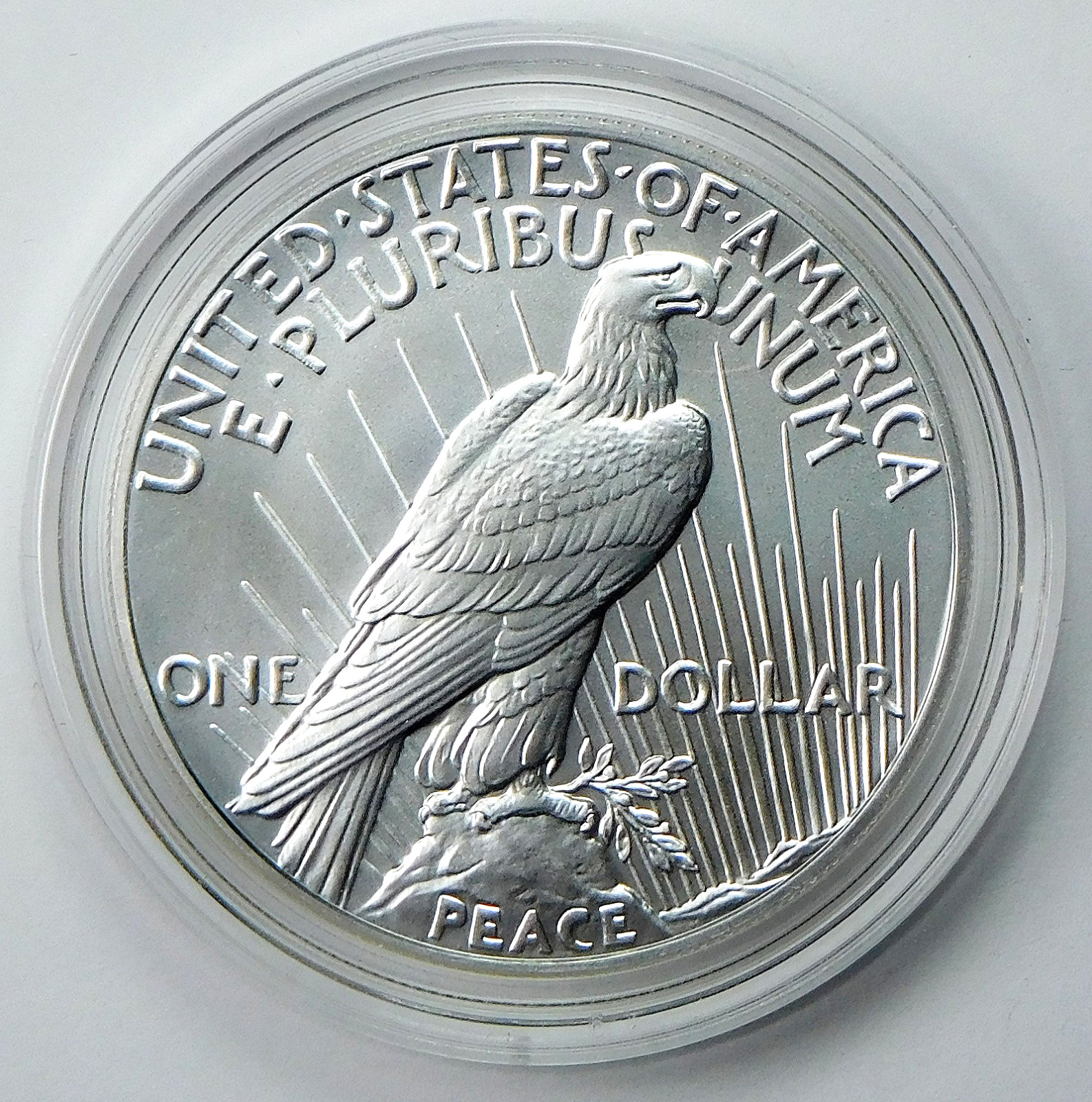 2023 Peace Silver Dollar in Capsule