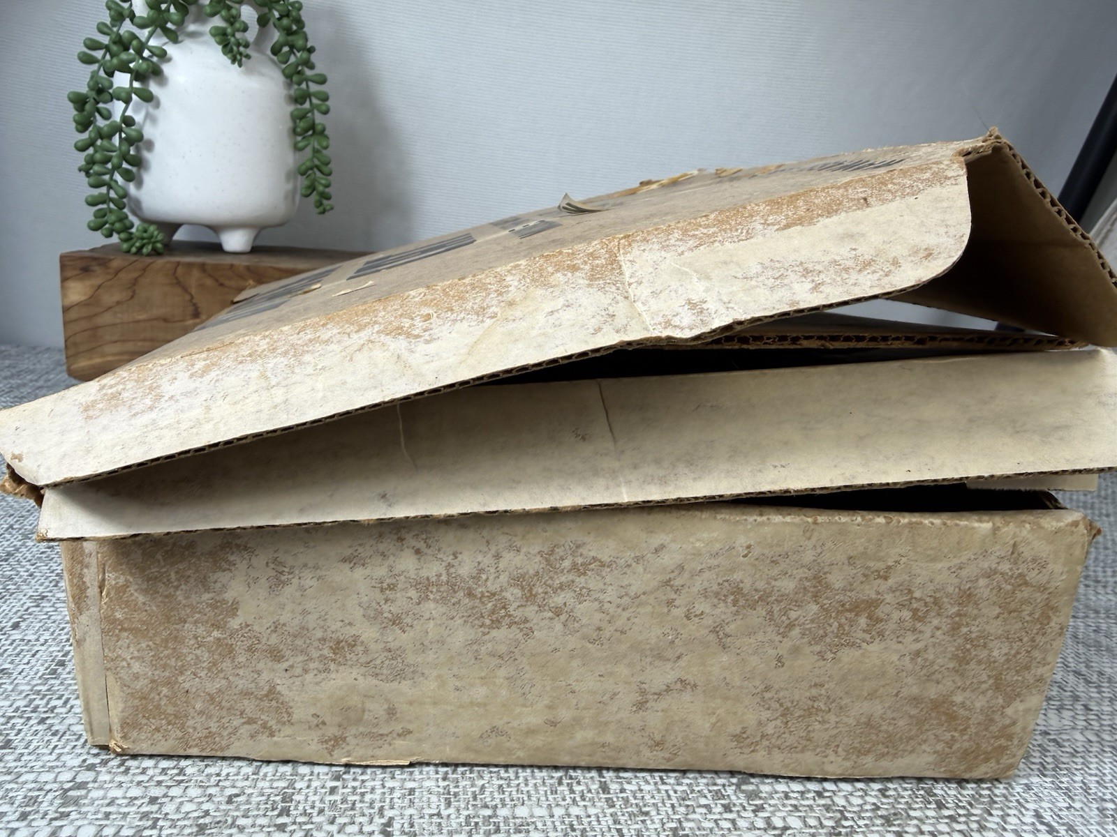 Vintage CB Amplifier WAWASEE ELECTRONICS BLACK CAT JB-75A UNTESTED Original Box