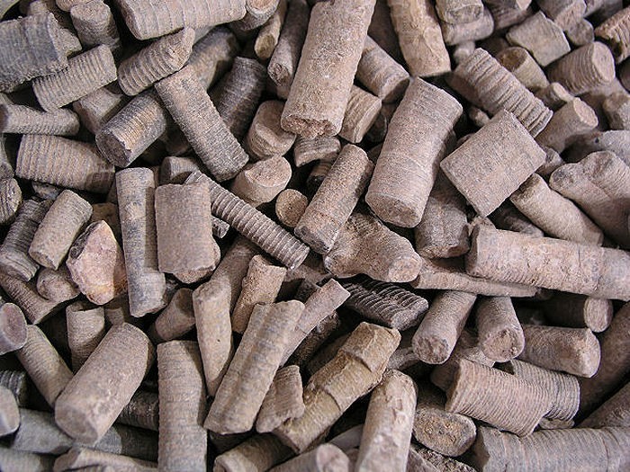 Crinoid fossil stems Cyathocrinites Silurian age Africa 1/2 - 1.5"  1 pound lots