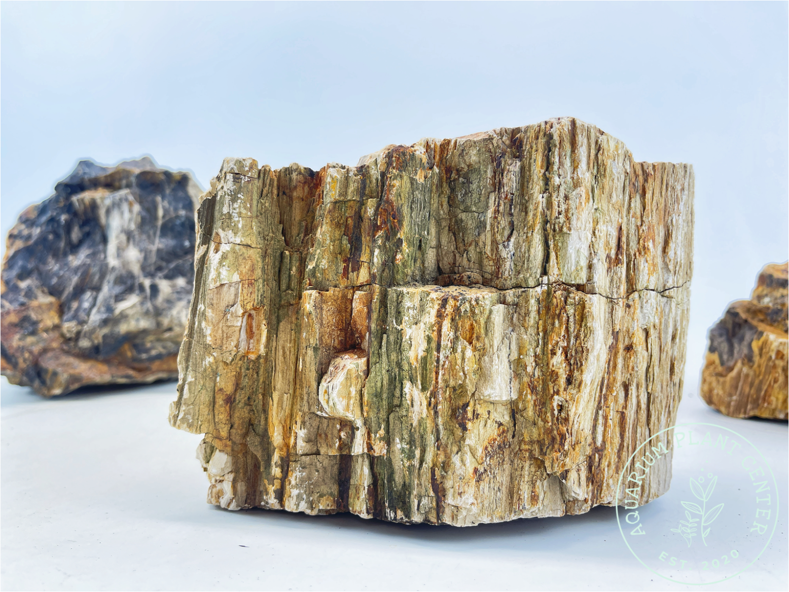 Petrified Wood Stone / Planted Aquarium / Decoration / Hardscape / Aquarium