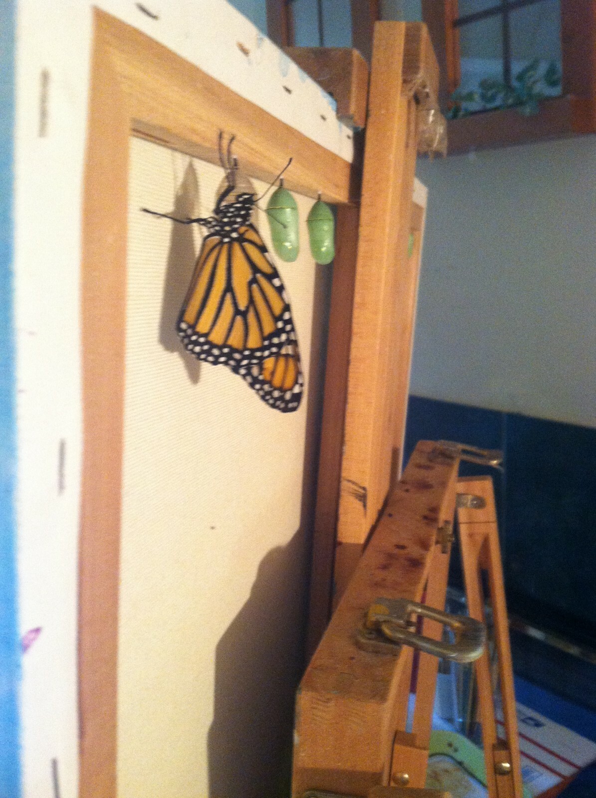 Florida Scene Volusia County Fairgrounds Farmers Market Oil Painting