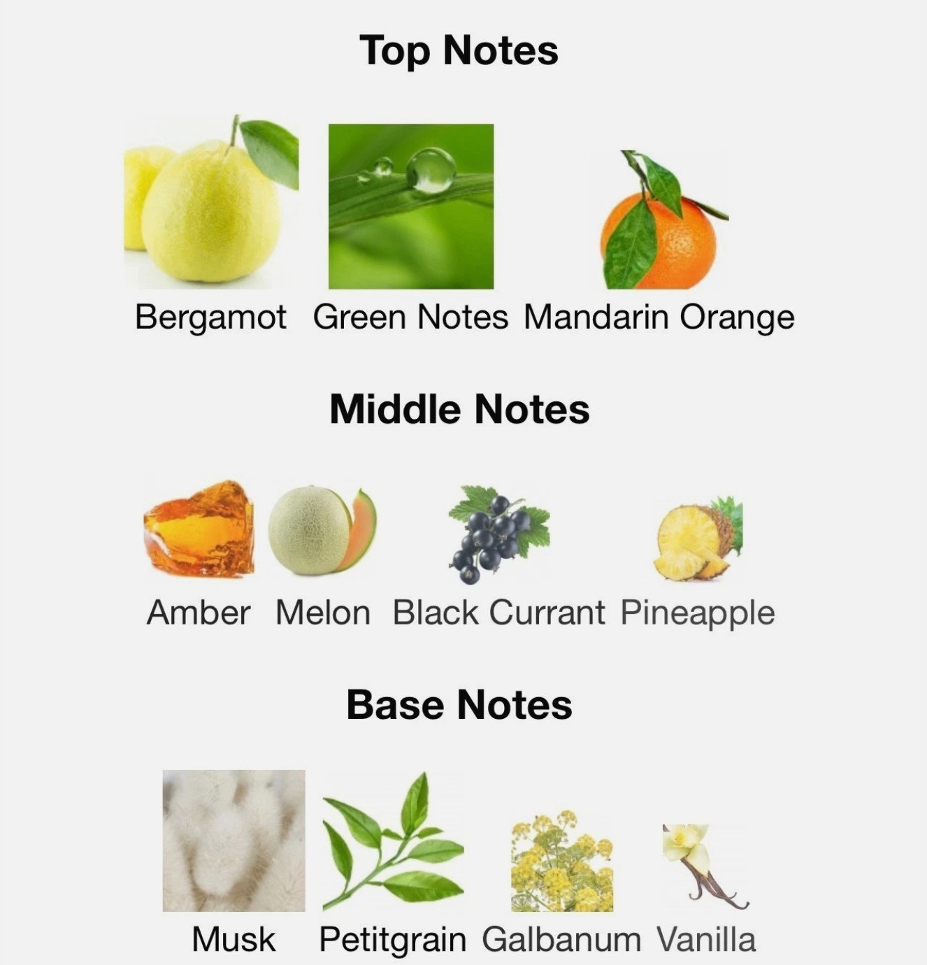 Aqua Dubai Al Haramain Amber Oud 60ml ( 2 oz ) Long Lasting Extrait de Parfum.