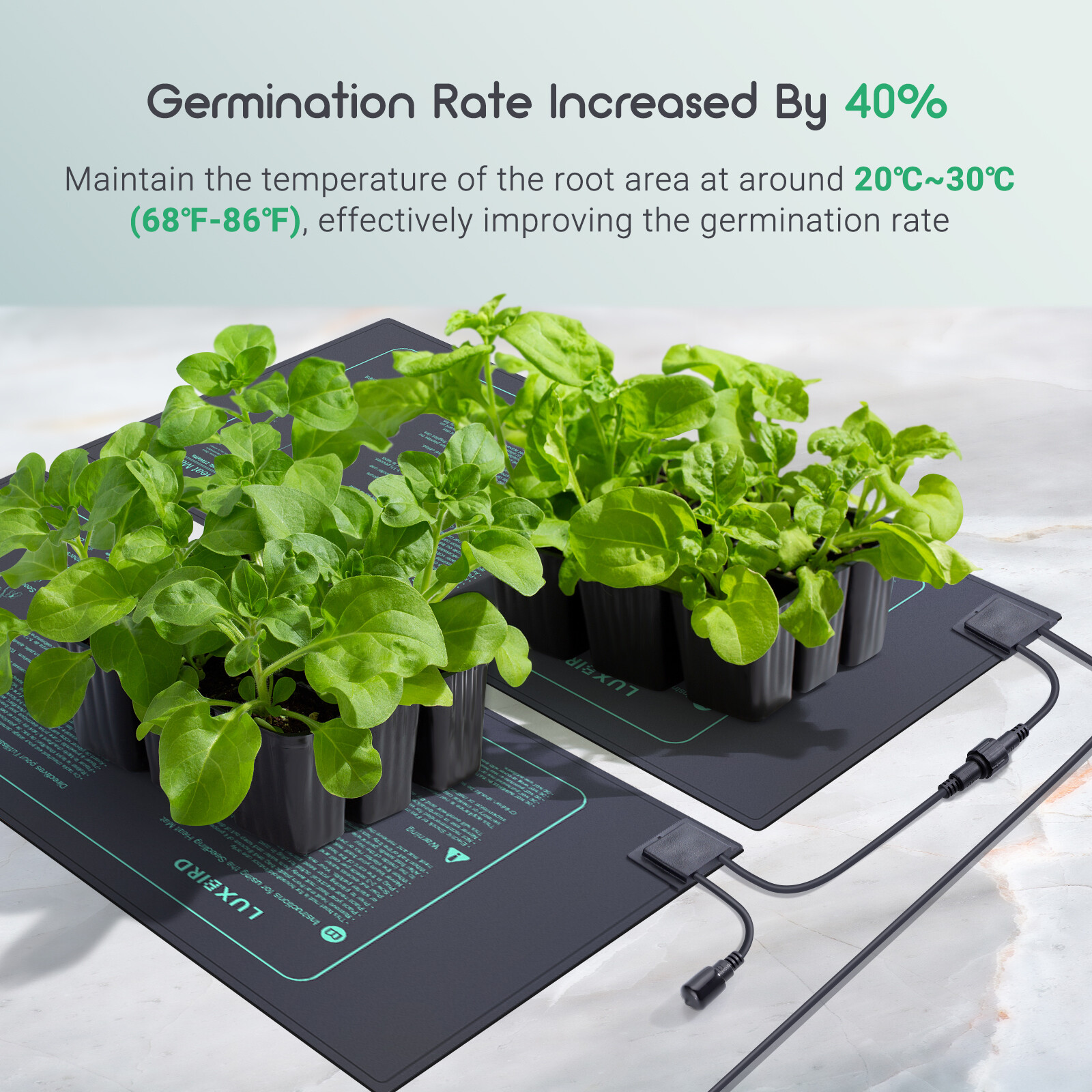 Adjustable Thermostat Seedling Heat Mat 2/4-Pack Hydroponics Germination Brewing