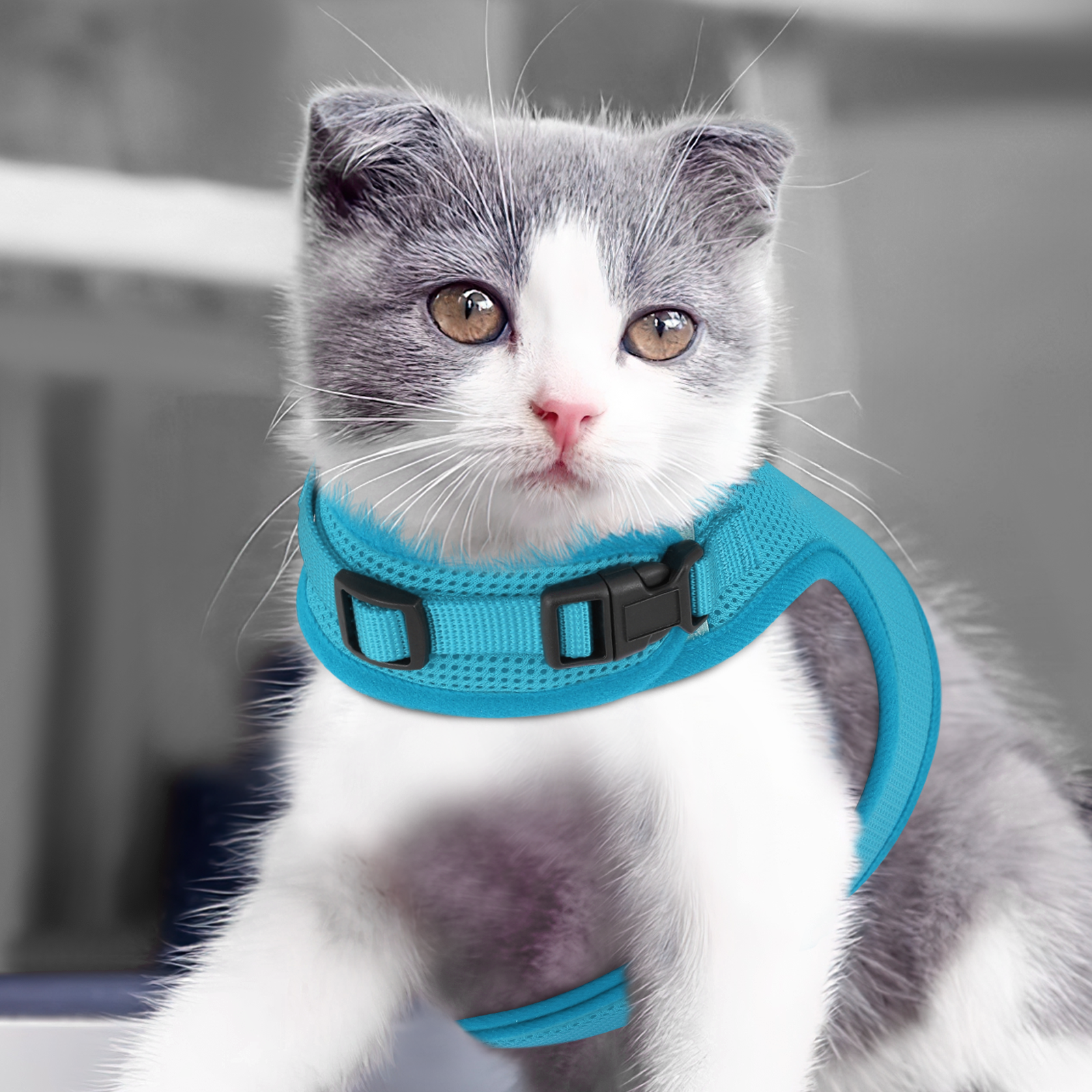 Cat Harness Escape Proof Breathable Mesh Adjustable Walking Kitten Jacket Chest