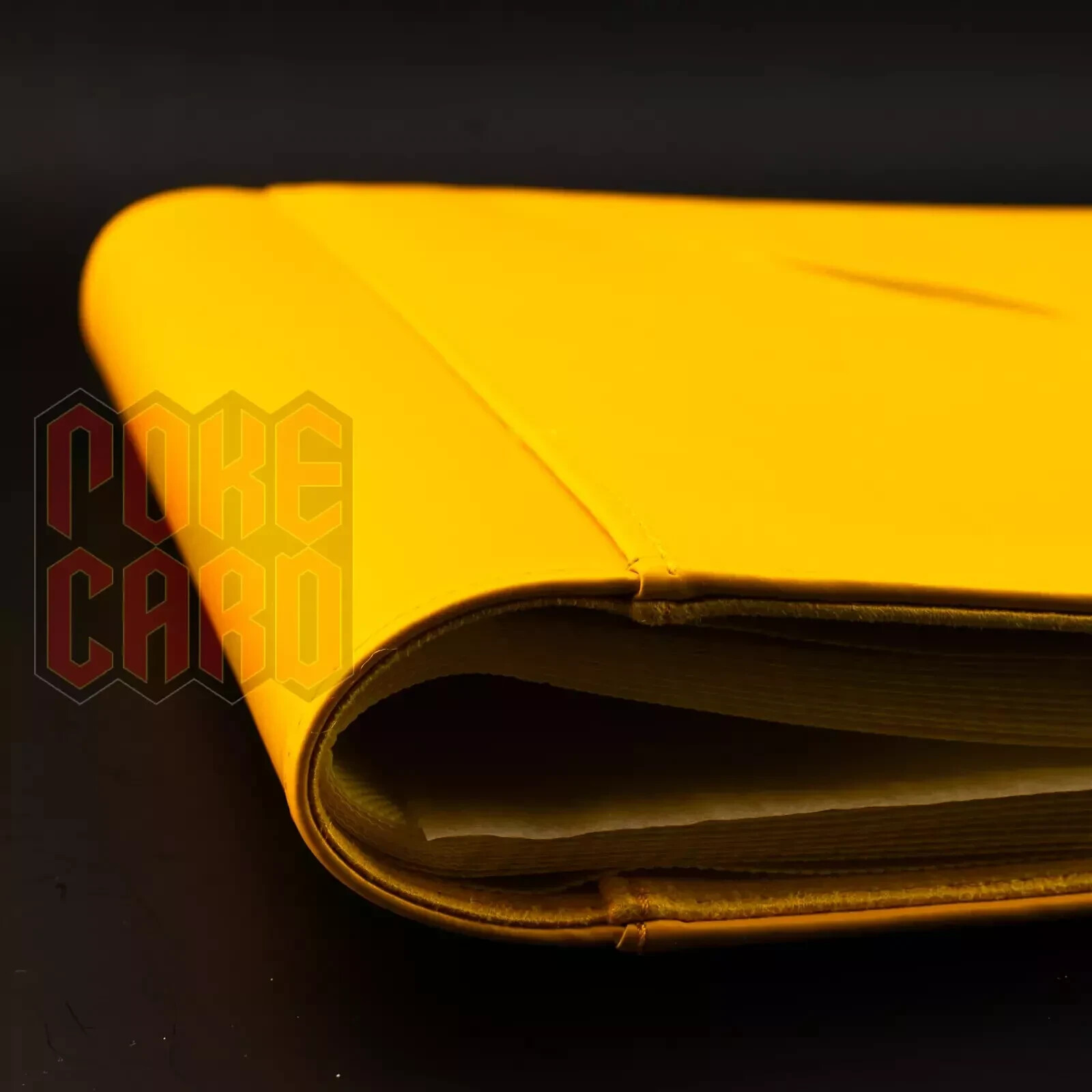 Pokemon S-Chinese Sealed Gift Box Jolteon Eevee GX theme 480 slots Card Binder