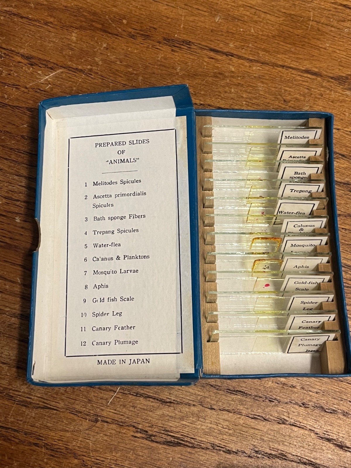 Vintage Tasco Microscope Slides Scientific Homeschool Lot Animals Plants Fibres