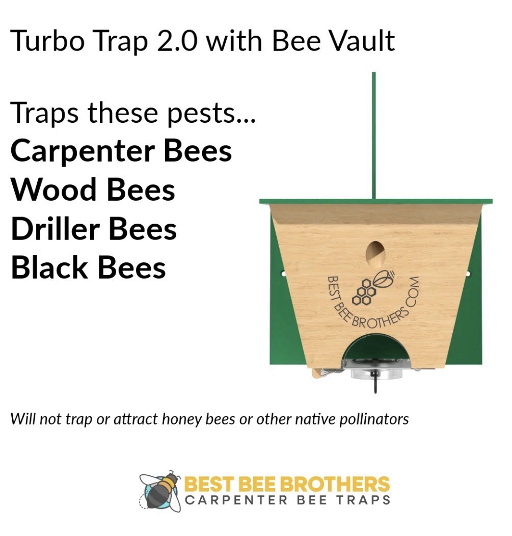 BEST BEE BROTHERS Carpenter Bee Turbo Trap 2.0 Professional Grade