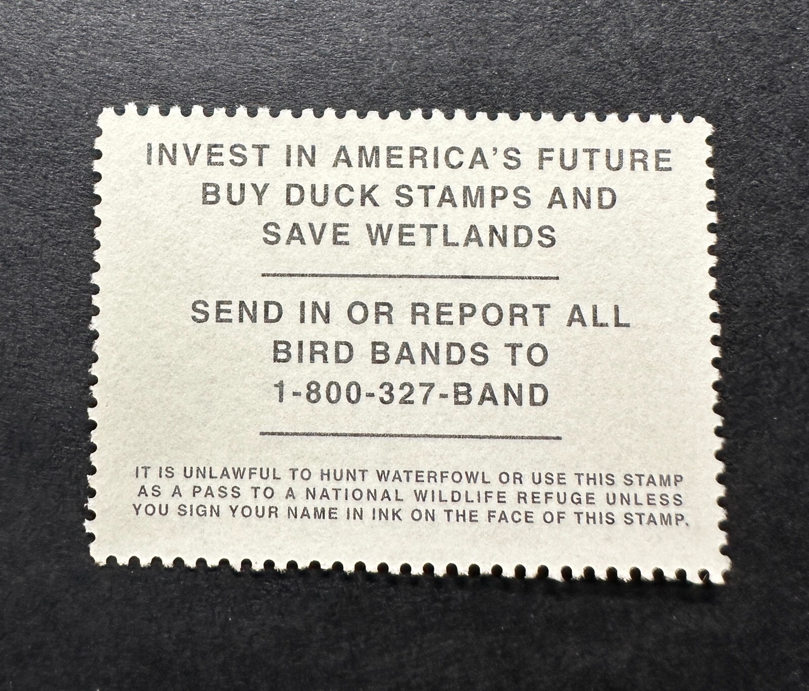 WTDstamps - #RW71 2004 - US Federal Duck Stamp - Mint OG NH