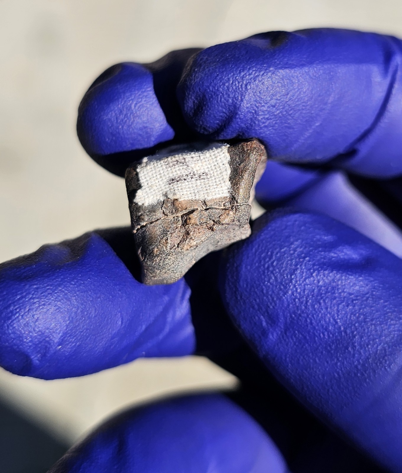 Atacama Desert, Chile | 7.871 Grams | Fusion Crusted Individual