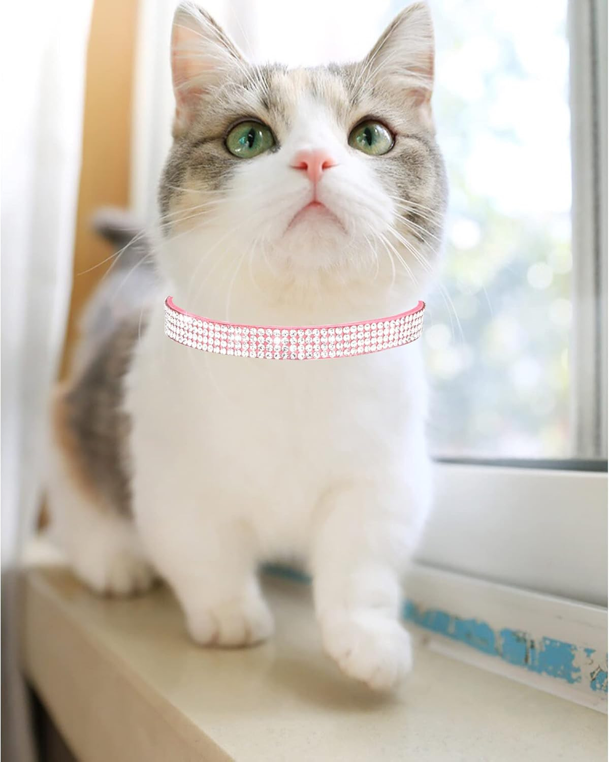 Cat Collars for Girl Cats with Rhinestone Soft Velvet,Breakaway Cat Collars with