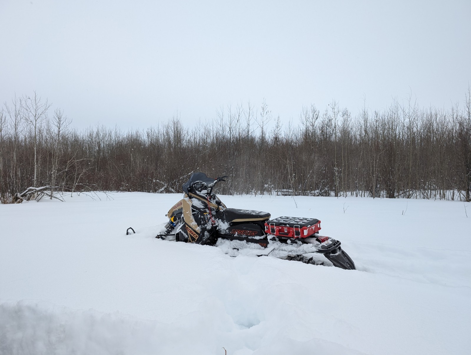 South Simcoe Machine/Polaris/LinQ/Packout Bracket