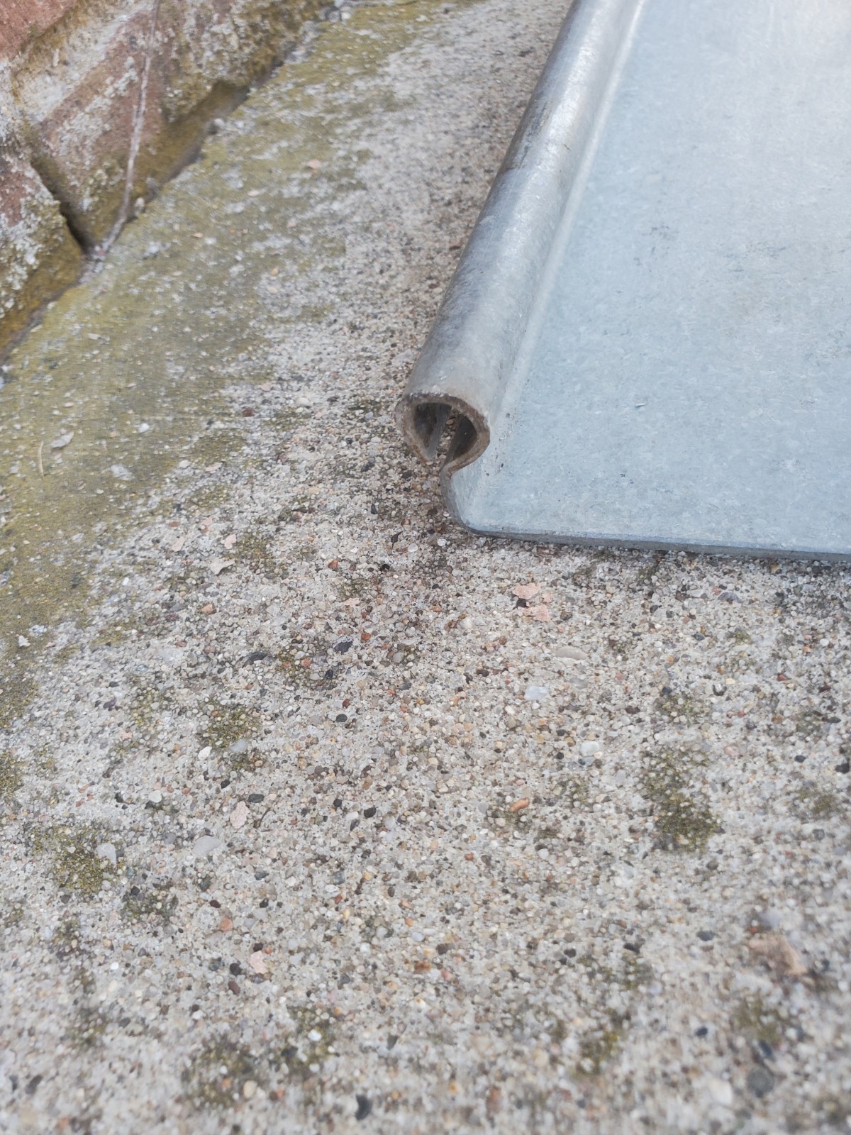 10" Galvanized Metal Smidley Hog Feeder Lid Livestock