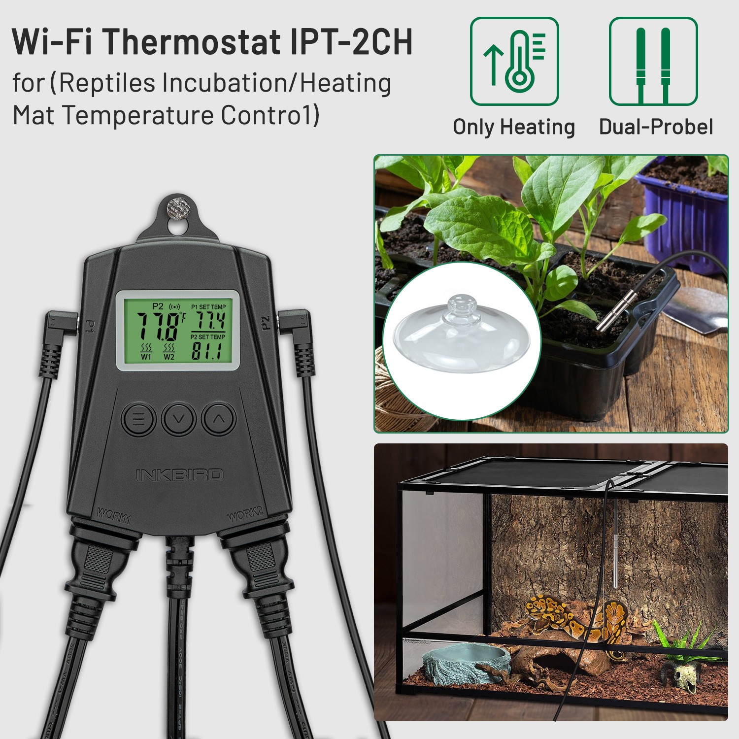 Inkbird IPT-2CH Temperature Controller WiFi Heating Mat Thermostat Greehouse