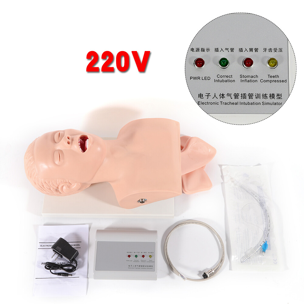 Airway Management Trainer Study Adult Oral Intubation Manikin Teaching Model NEW