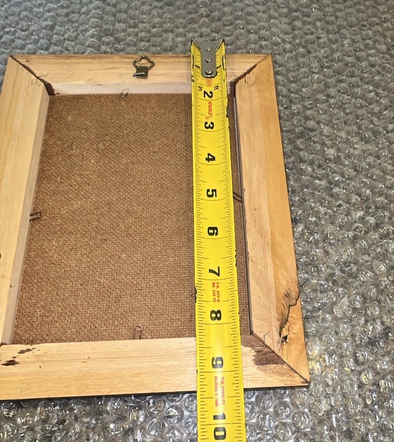 VTG Real Pressed Flower Specimens Framed With Glass Folk Art Wall Hanging Signed