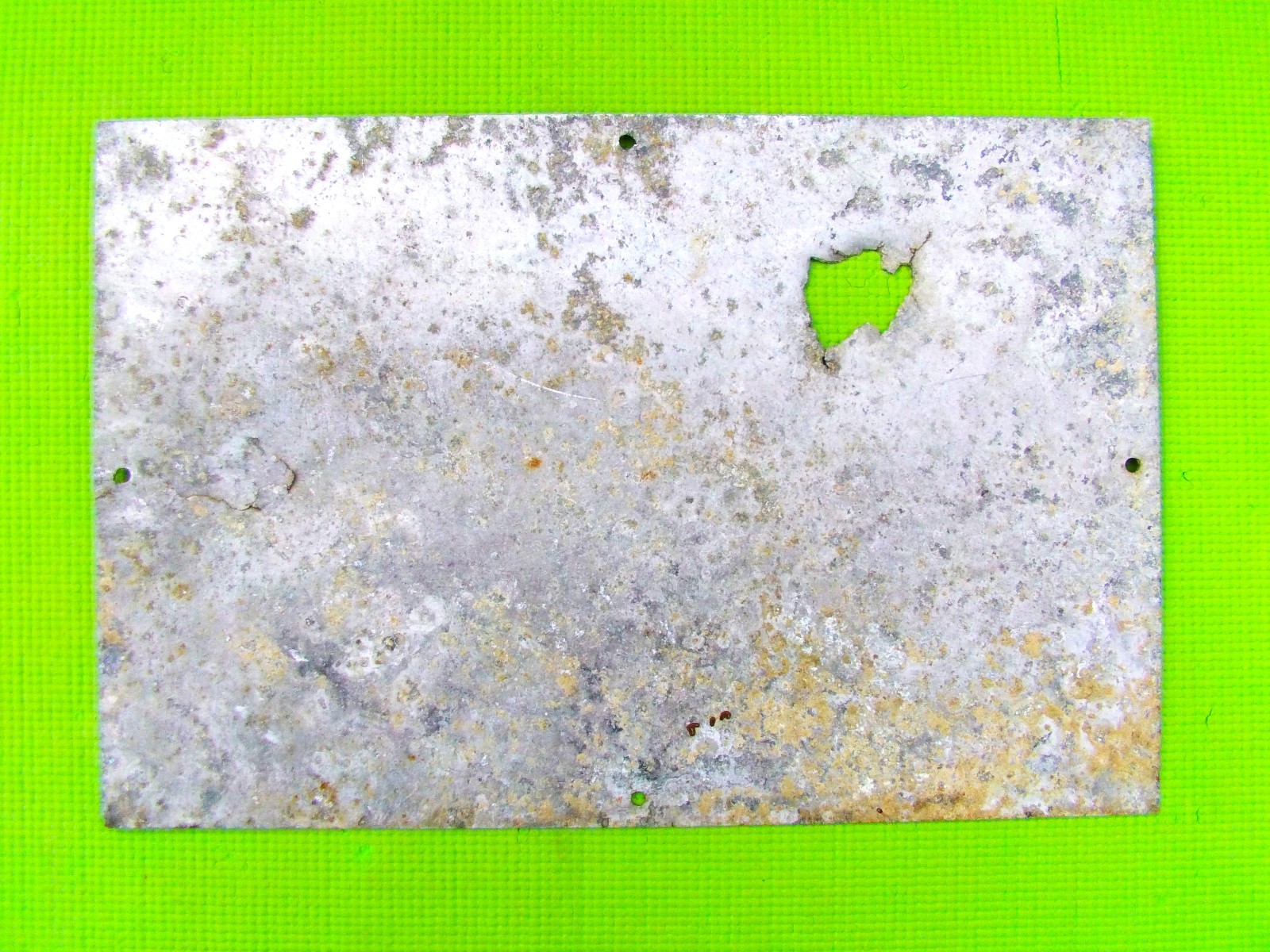 OBX Rare Vintage Authentic Retired Sign: "NC Wildlife" One Sided! 12" x 18"