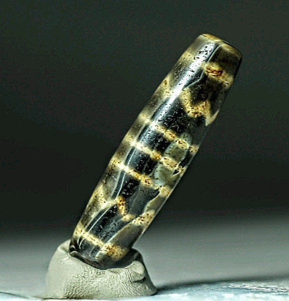 Pre-1800sbTibetan Opalized Petrified Palmwood 5 Line Water Wave Pum Dzi Bead