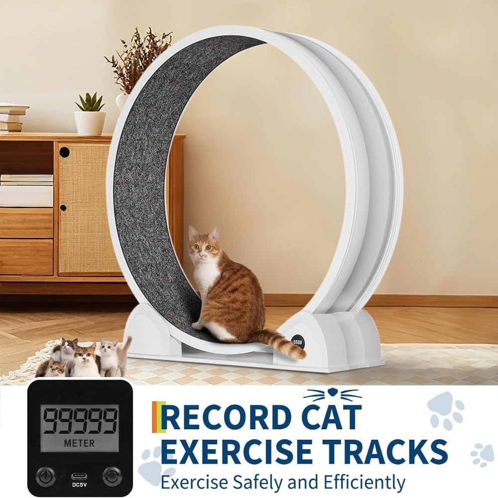 45" Large Cat Exercise Wheel with Pedometer - Indoor Fitness for Weight Loss