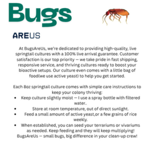 Springtails for Terrarium / 8oz | FREE SHIPPING LIVE ARRIVAL GUARANTEED