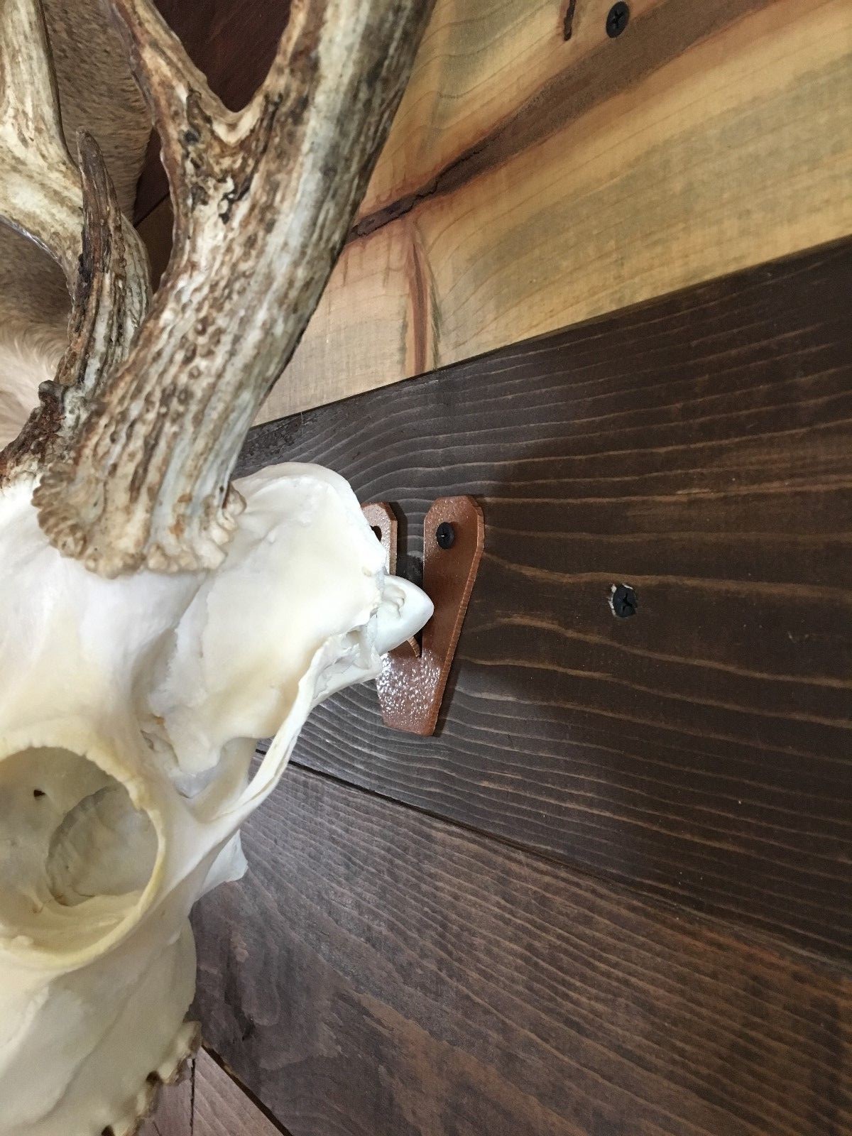 Amazeen Outdoors Flush Mount European Skull Hanger Deer Hook Metal Steel