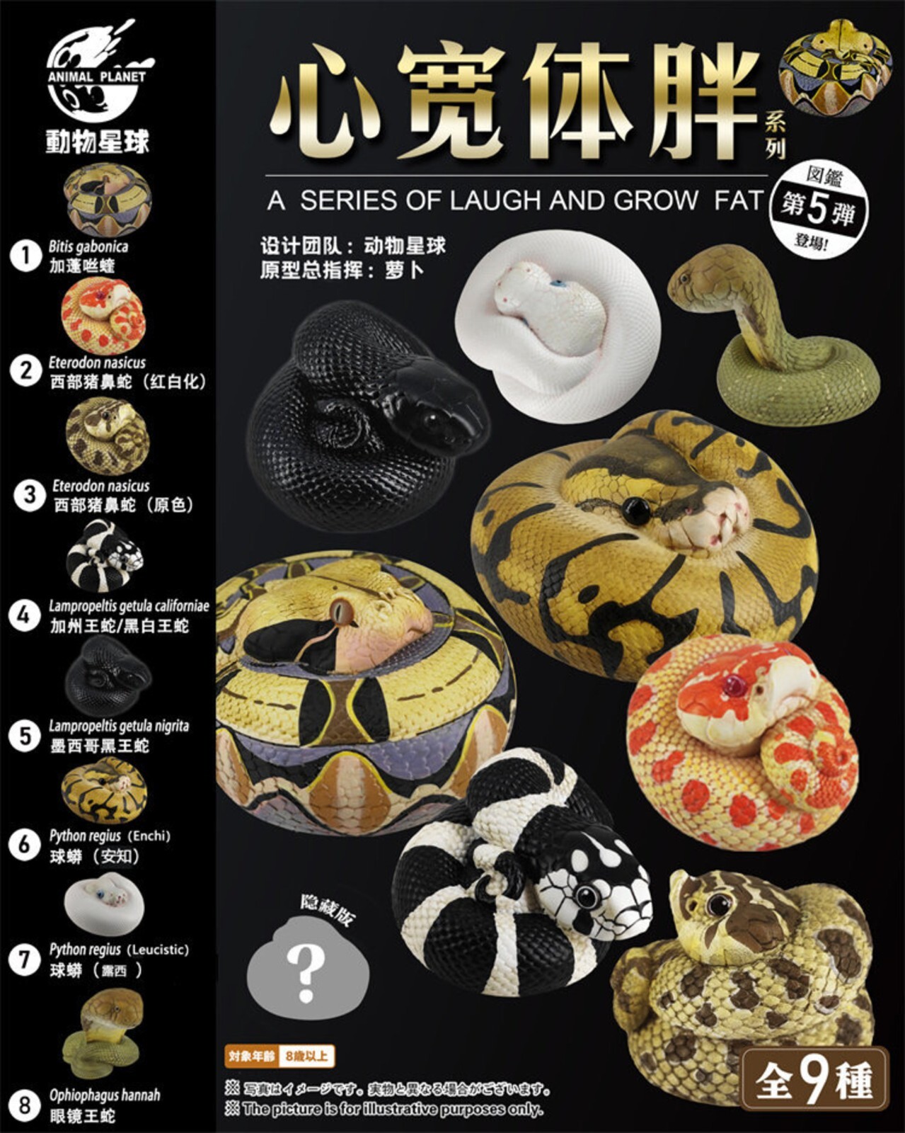 【In-Stock】 Animal Heavenly Body Gabonica Gaboon Viper Collectible Snake Statue