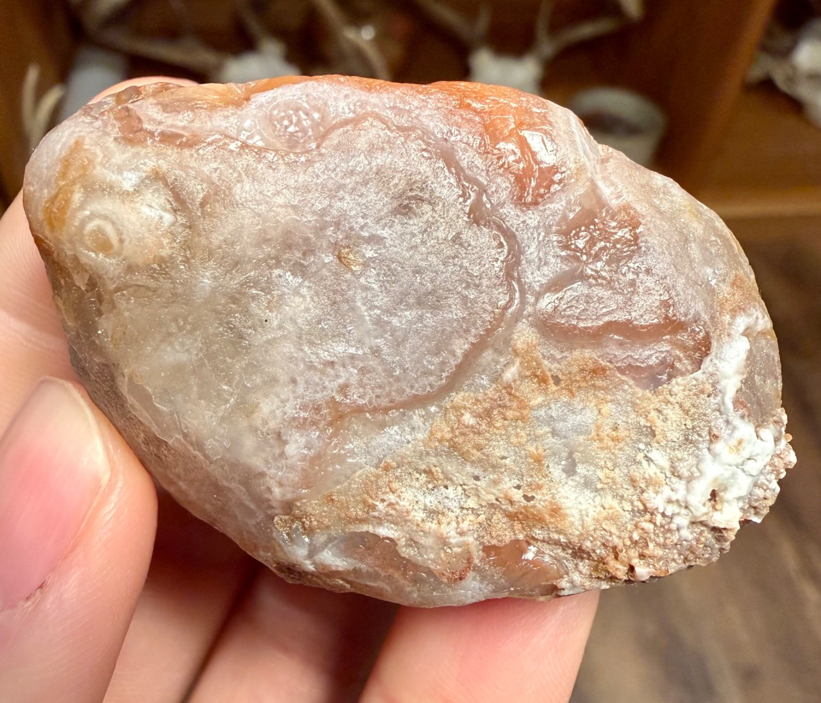 4.55oz LAKE SUPERIOR AGATE 2 GREAT FIRE & ICE COLORED BANDED FACES NEAT