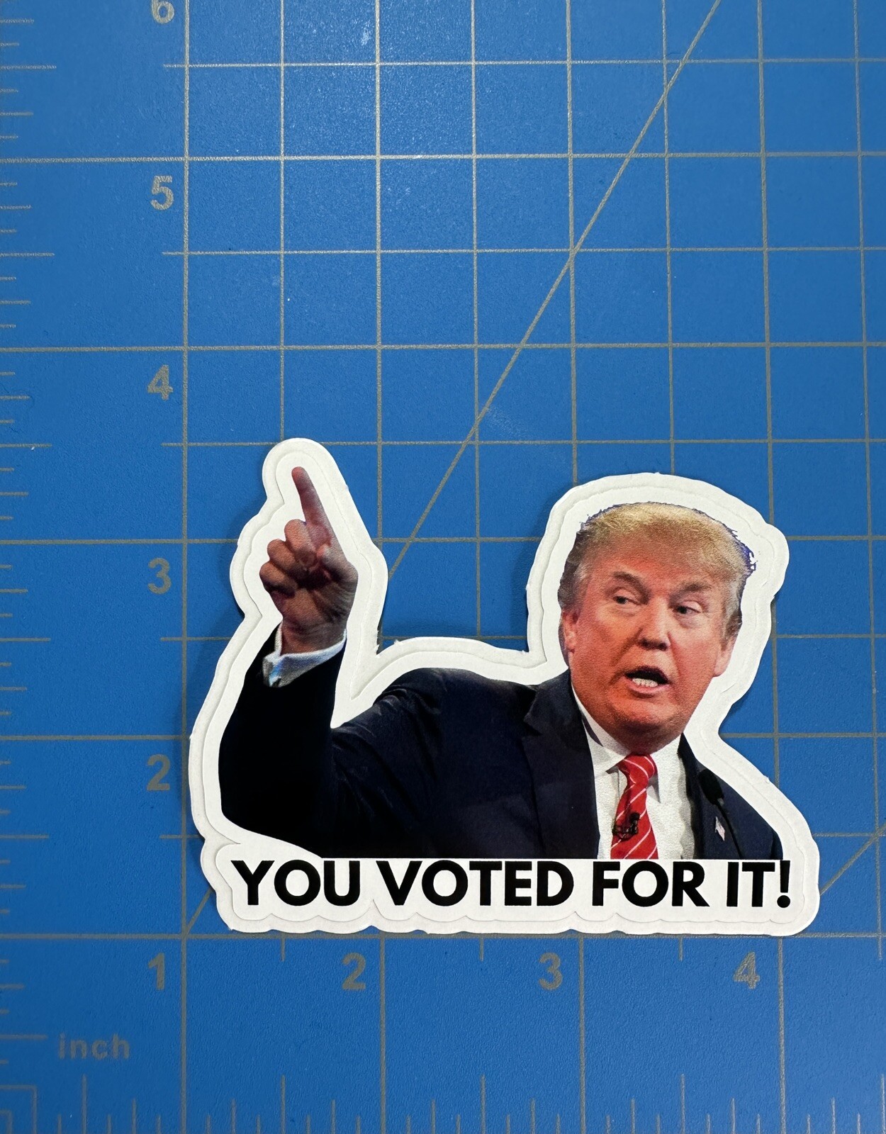 You Voted For It Anti-Trump Inflation Stickers for Grocery Prices Gas Pumps