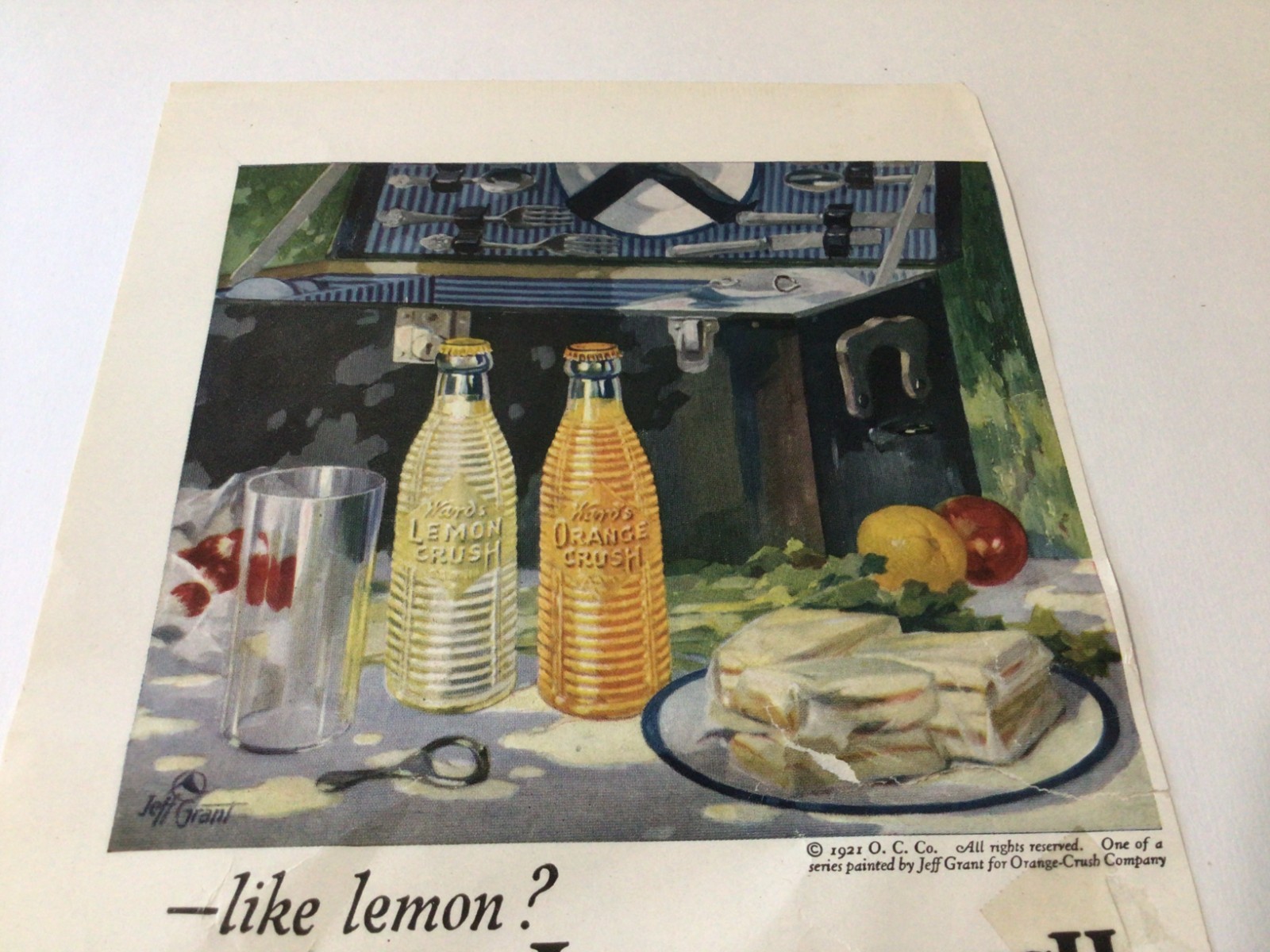 1921 Ward's Lemon Crush Magazine Advertising Page