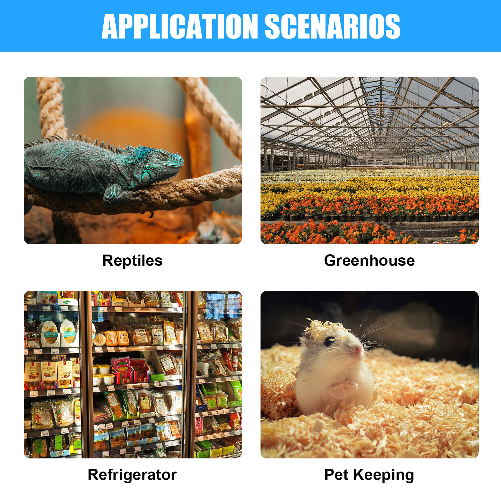 AC 110V Universal STC-1000 Digital Temperature Controller Thermostat w/ Sensor