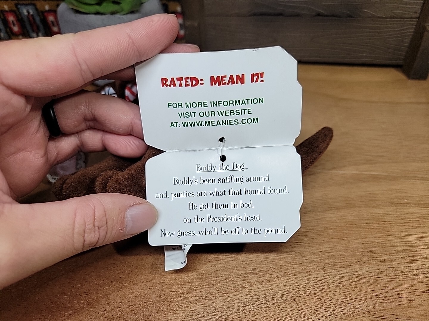 Meanie Beanie Babies Vintage Infamous Series BUDDY Bill Clinton's Dog Lewinsky