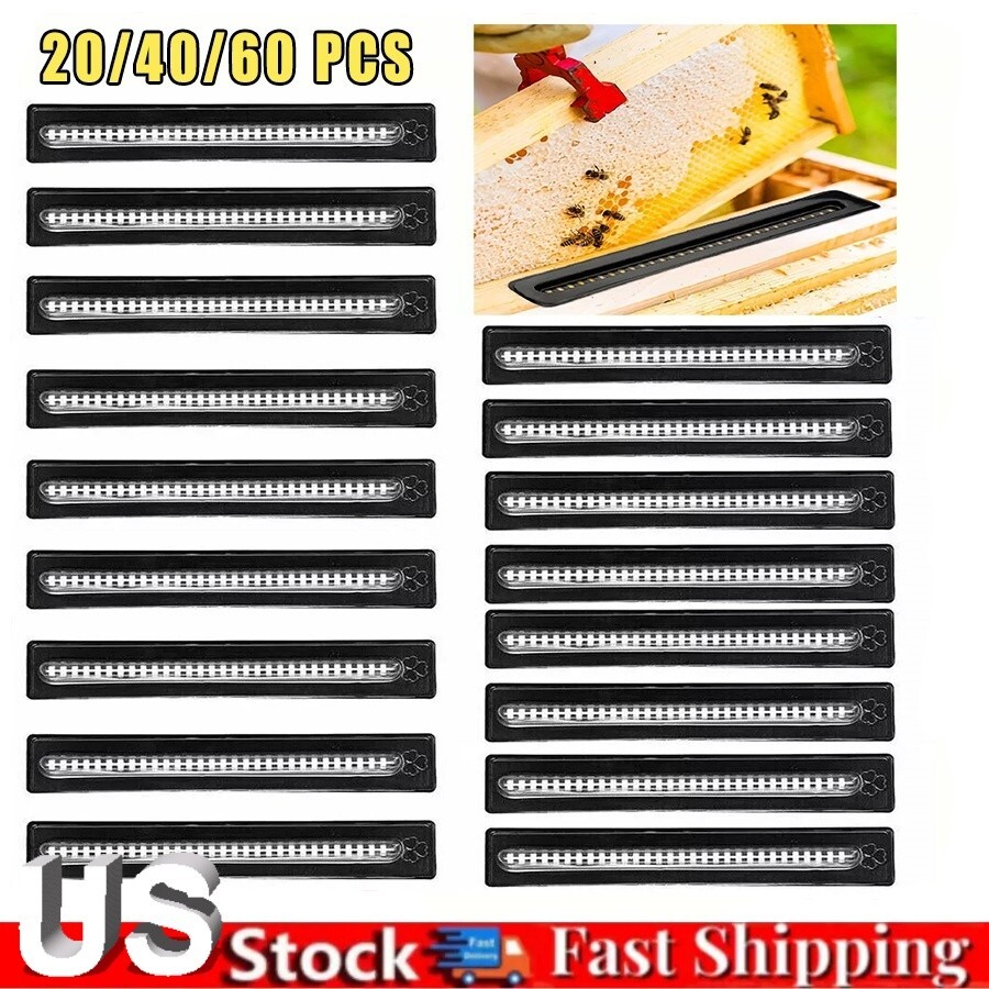 20/40/60×Hive traps Beetle Beekeeping tool For catching small beetles in beehive