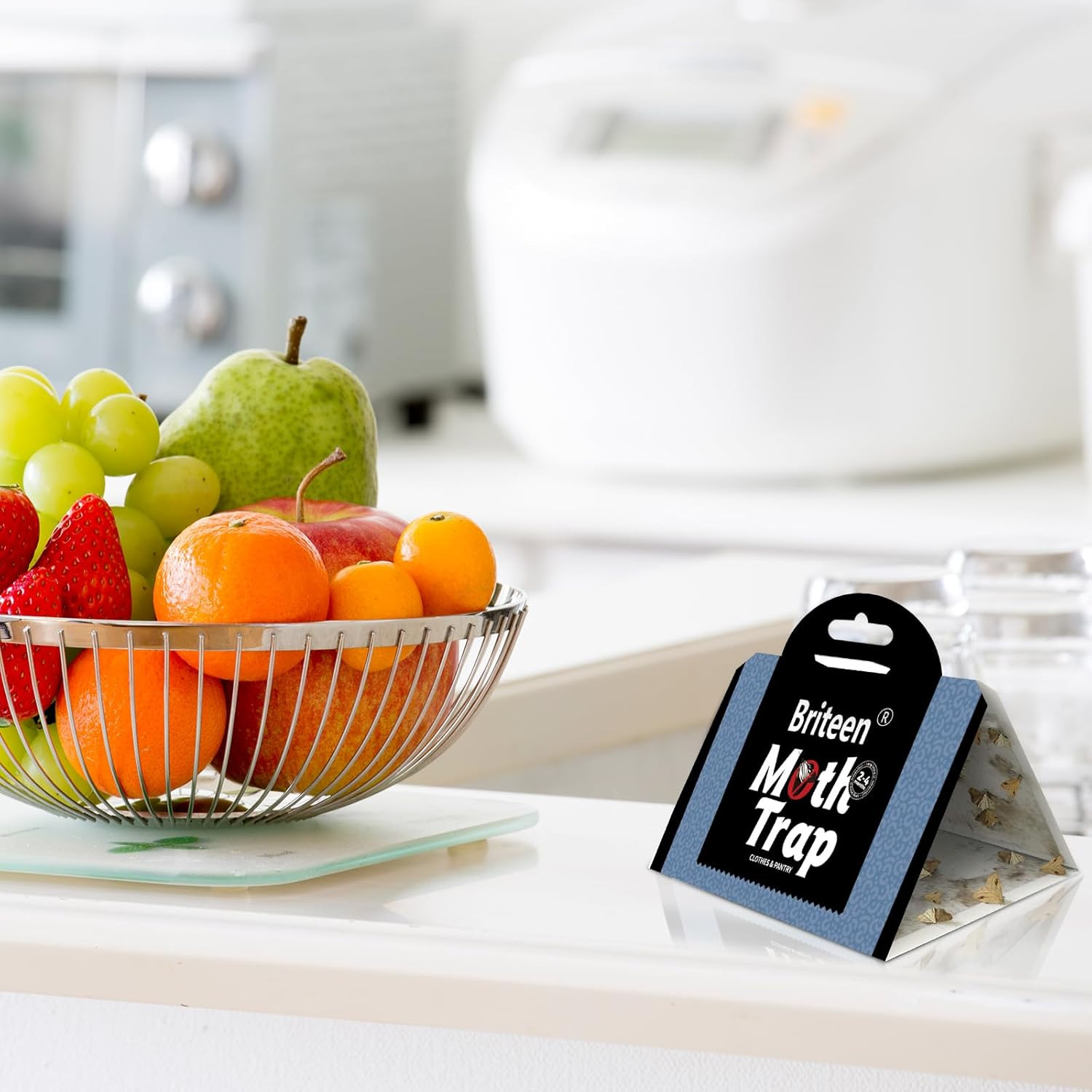 10 Pack Pantry Moth Traps Safe and Effective for Food and Clothing- Glue Traps w