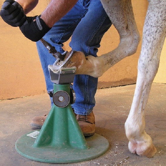 Hoofjack for Horse Owners & Farriers Author​ized Dealer 2023 model