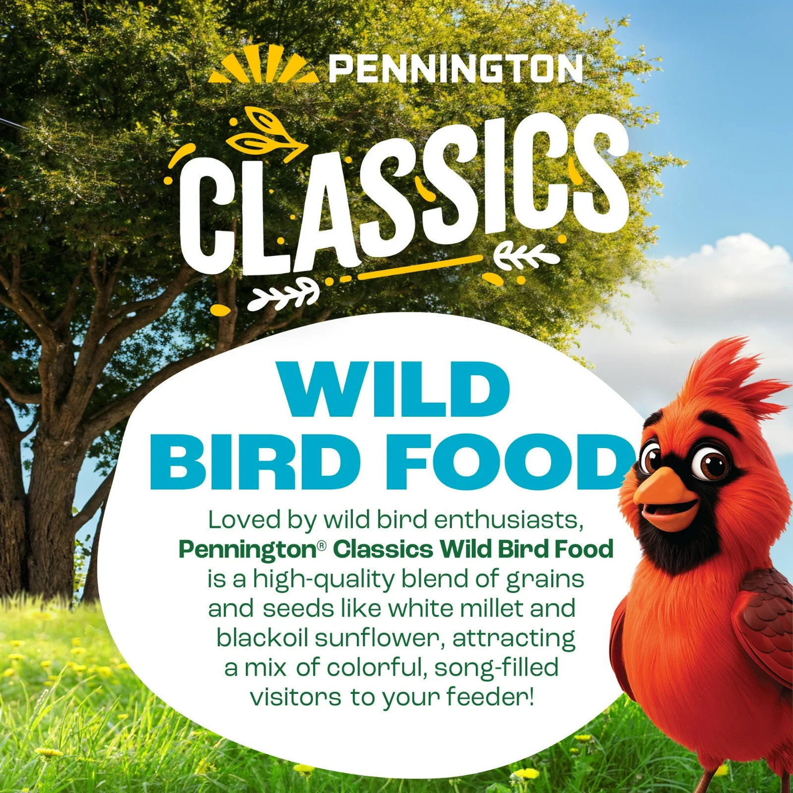 2 pack Pennington Classic Wild Bird Feed and Seed, 40 lb. Bag FREESHIPPING